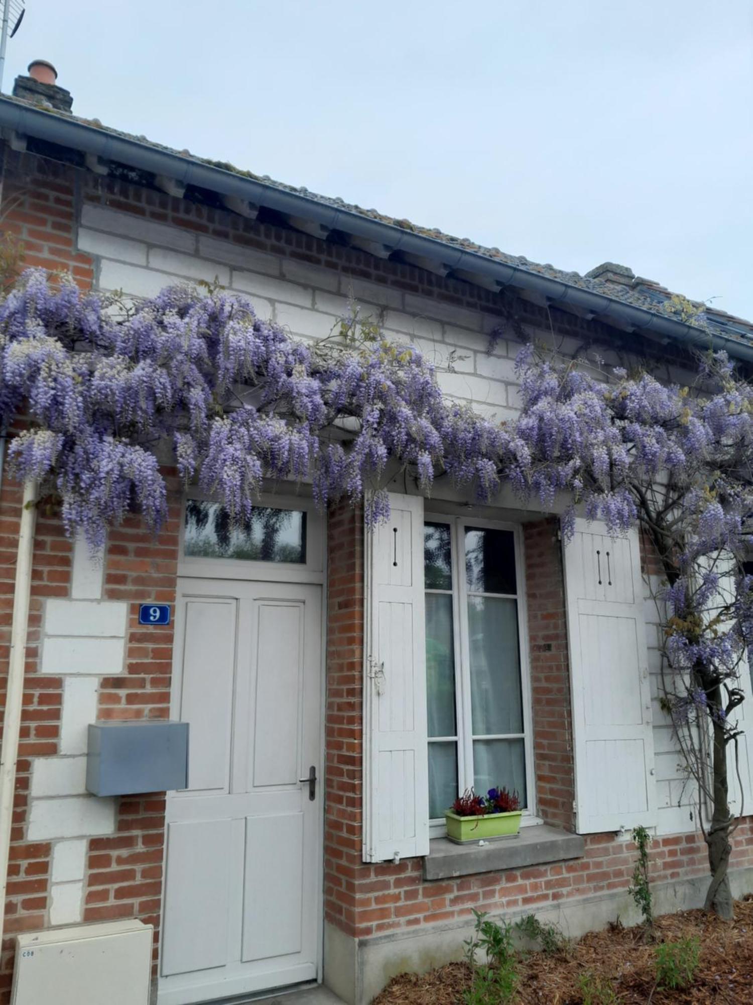 Gite, Maison A La Campagne Ardennes, Aisne,Marne Le Thour Habitación foto